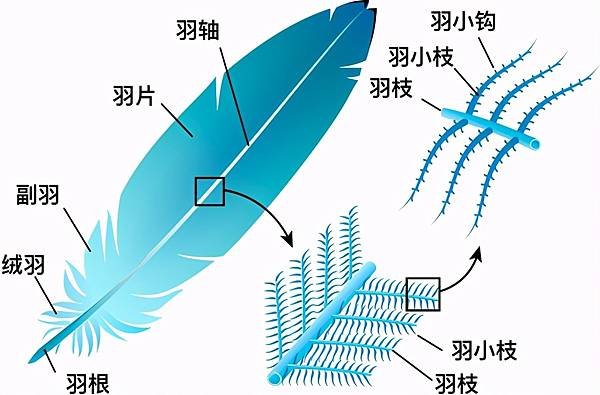 鳥羽.jfif