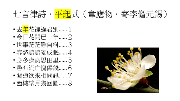 近體詩格律7.png