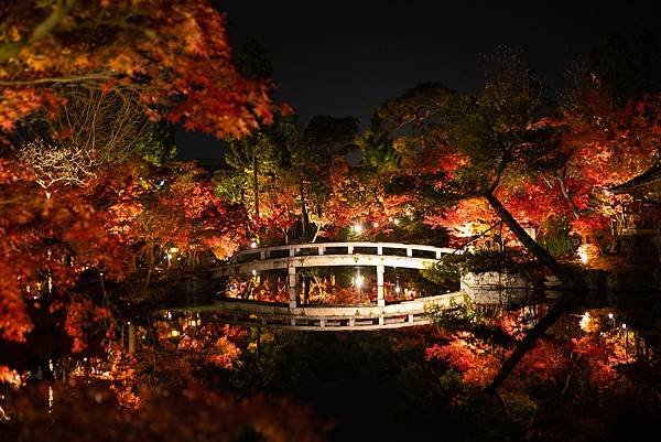 京都永觀堂夜楓.jpg