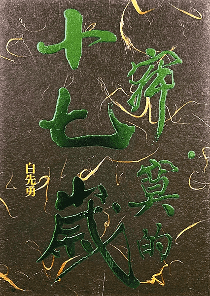 寂寞的十七歲.png