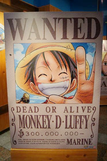 淋著大雨也要去朝聖！2011航海王（ONE PIECE 海賊王）樂園！07