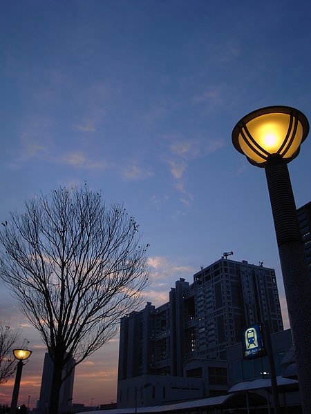 R0012012.JPG