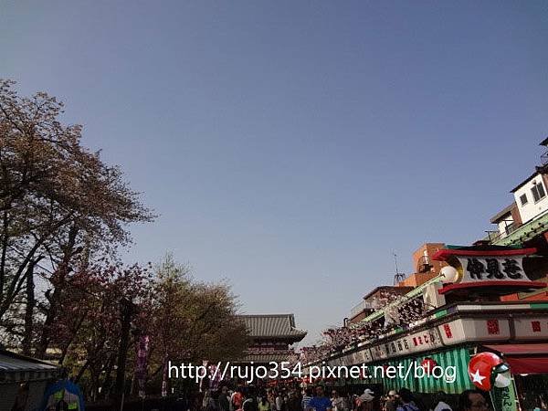DSC06508