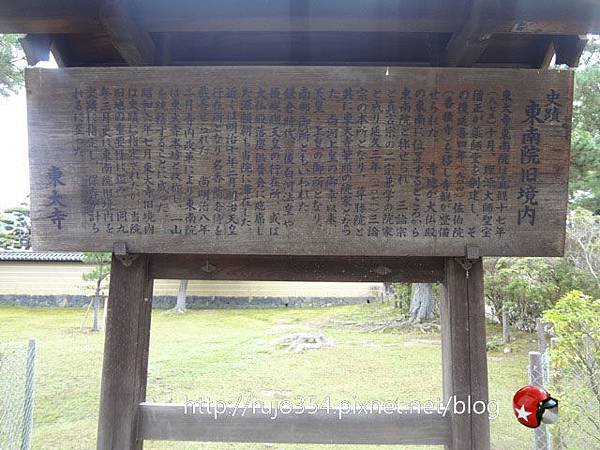 DSC08867.jpg