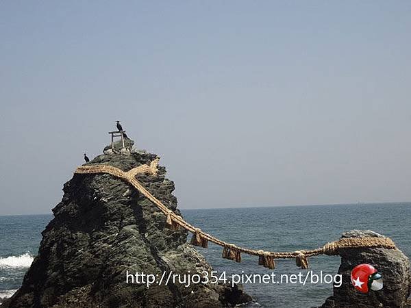 DSC02980.jpg