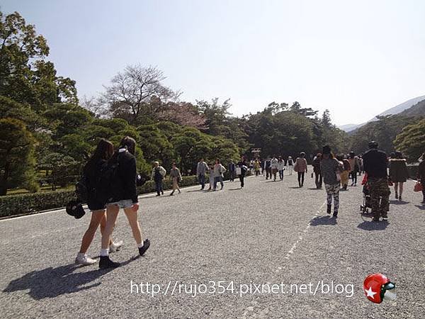 DSC03048.jpg