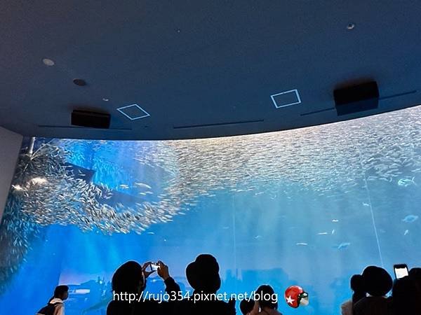 [愛知] 名古屋港水族館🐬