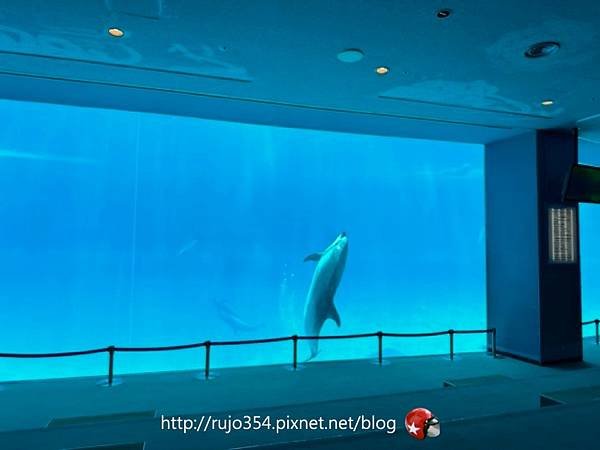[愛知] 名古屋港水族館🐬
