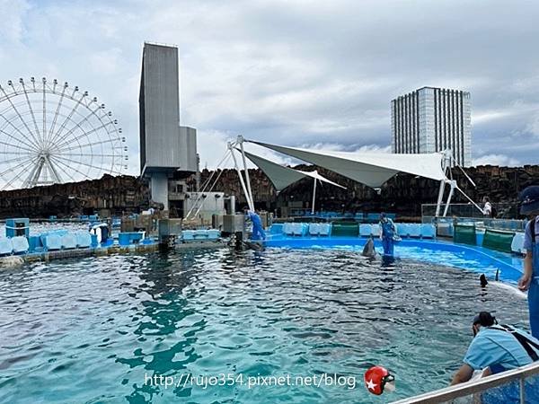 [愛知] 名古屋港水族館🐬