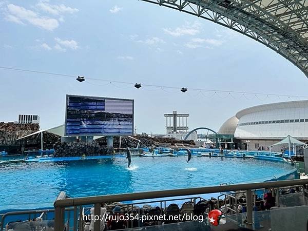 [愛知] 名古屋港水族館🐬