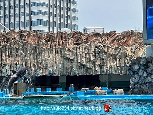 [愛知] 名古屋港水族館🐬