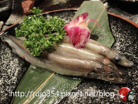 DSC04957.jpg
