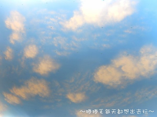 威尼斯人24.jpg