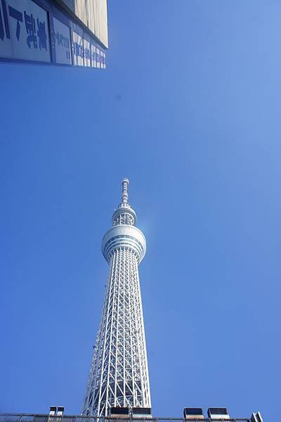 DSC04654