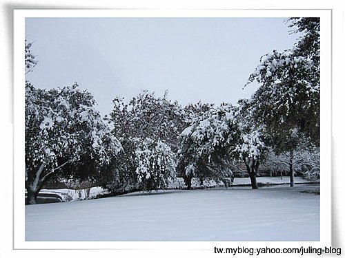 北德卅春雪9.jpg