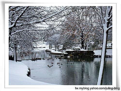 北德卅春雪10.jpg