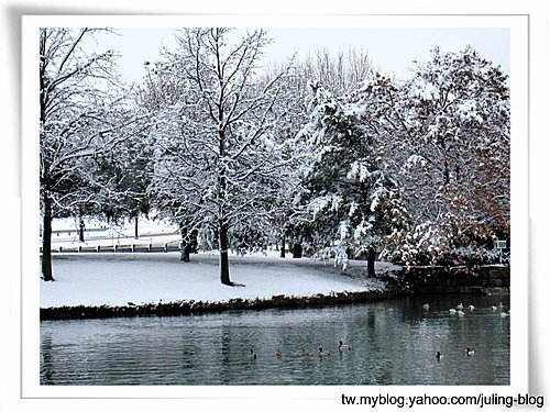 北德卅春雪11.jpg