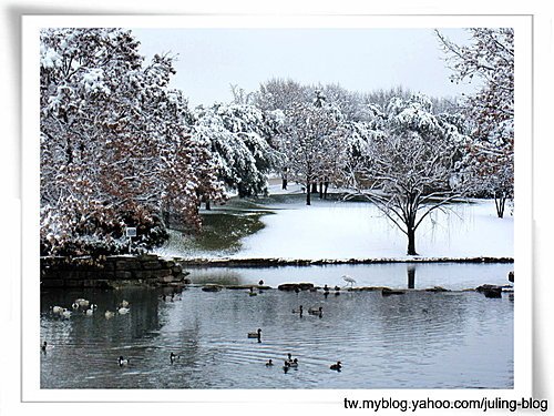 北德卅春雪12.jpg