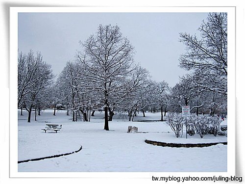 北德卅春雪15.jpg