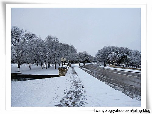 北德卅春雪21.jpg