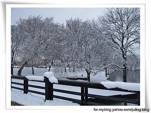 北德卅春雪22.jpg