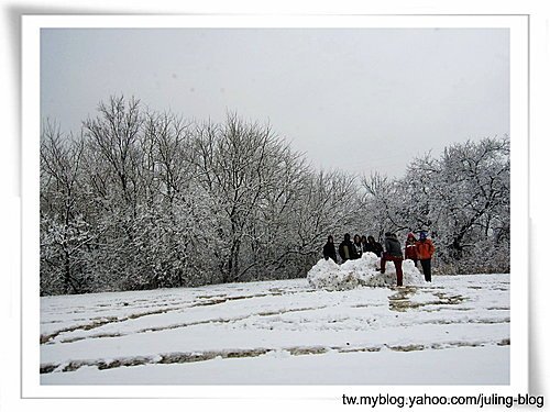 2011雪景15.jpg