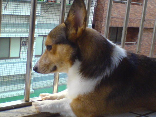 DSC07199.JPG