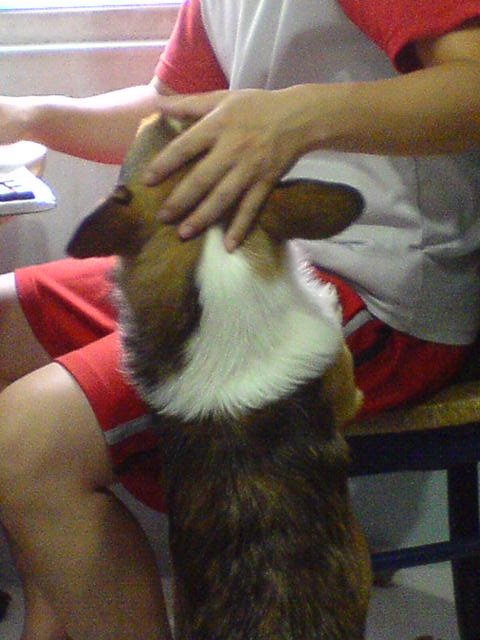 DSC07205.jpg