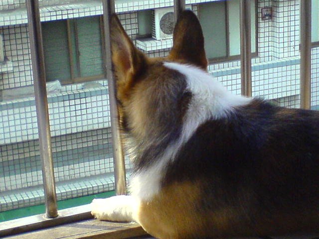 DSC07196.JPG