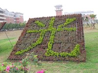 光