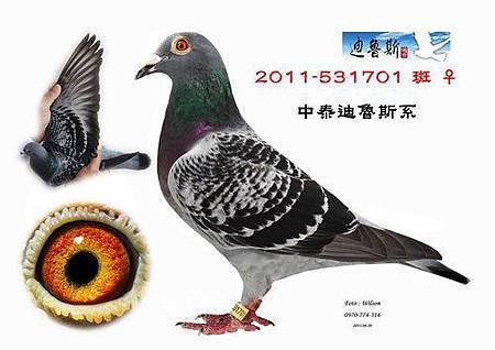 請輸入圖片標題