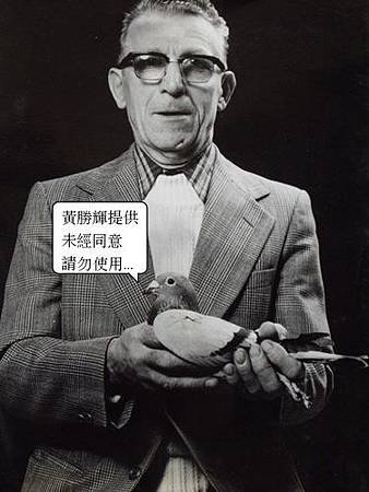 請輸入圖片標題