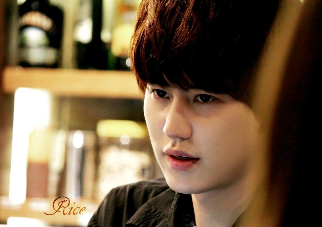 20131015 Kona Beans