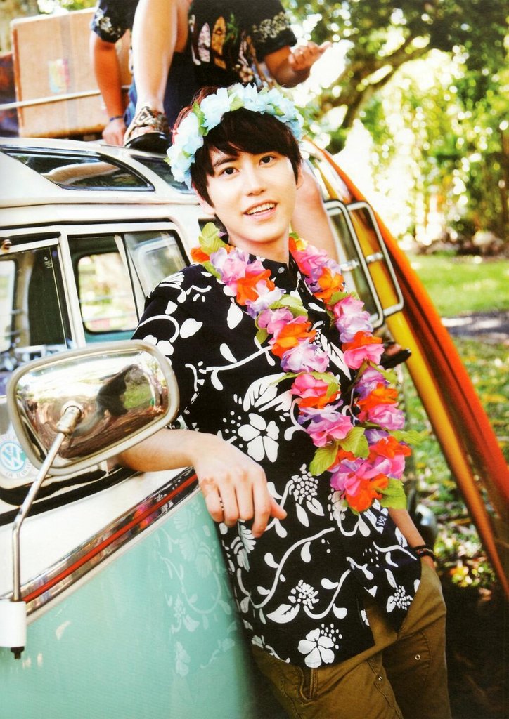 SJ Hawaii