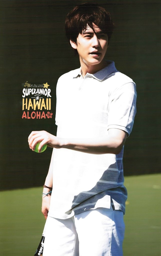 SJ MEMORY IN HAWAII ALOHA (6)