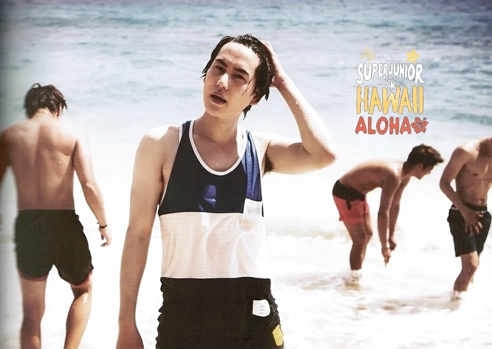 SJ MEMORY IN HAWAII ALOHA (7)