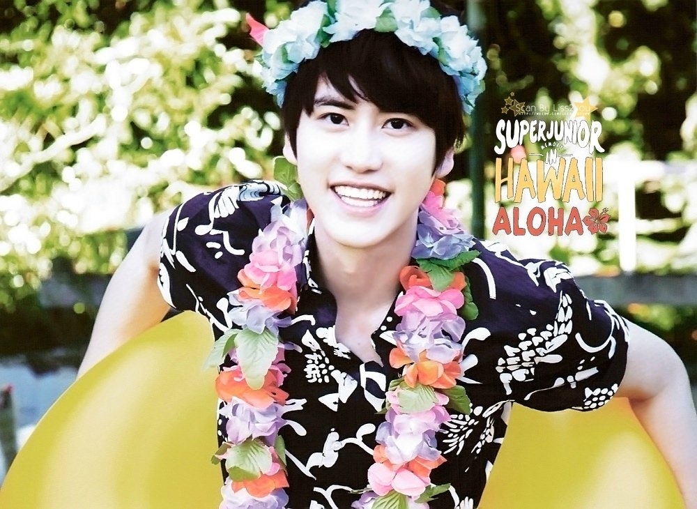 SJ MEMORY IN HAWAII ALOHA (1)