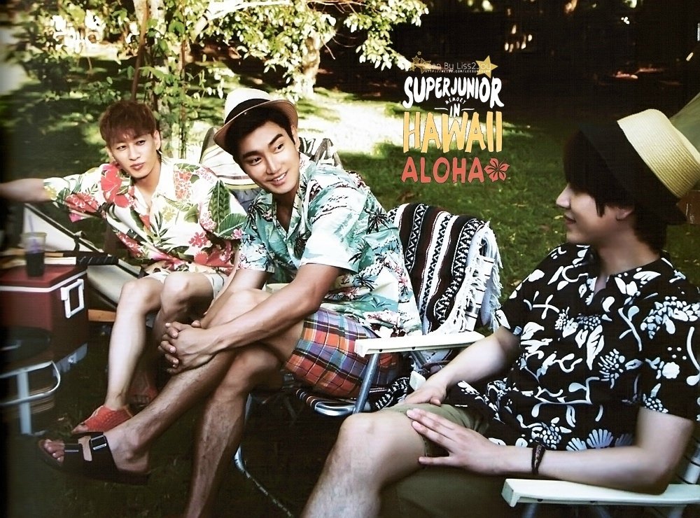 SJ MEMORY IN HAWAII ALOHA (9)