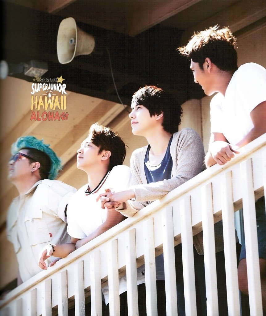 SJ MEMORY IN HAWAII ALOHA (5)