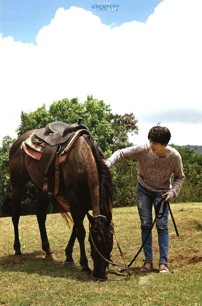 SUPERJUNIOR in HAWAII [MAHALO] (20)