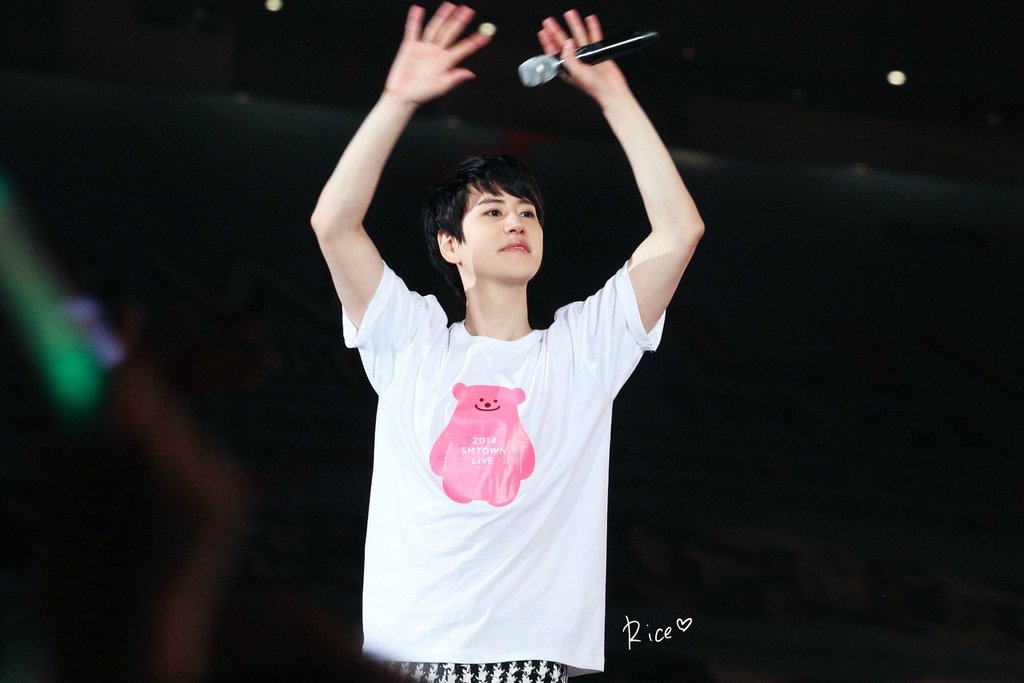 20140815 SMTOWN (13)