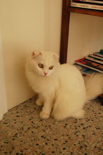 12302010-13.jpg