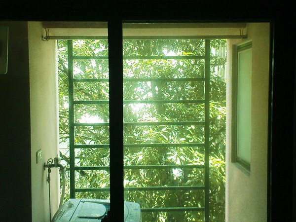 07052010-02.jpg