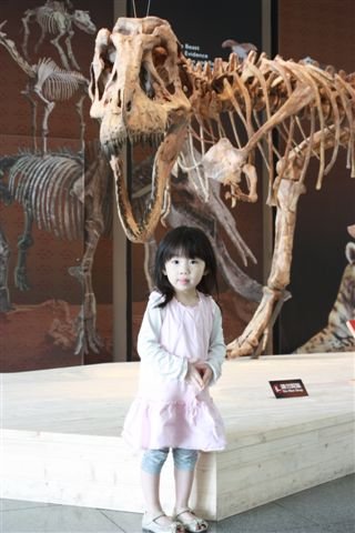 IMG_0012.jpg