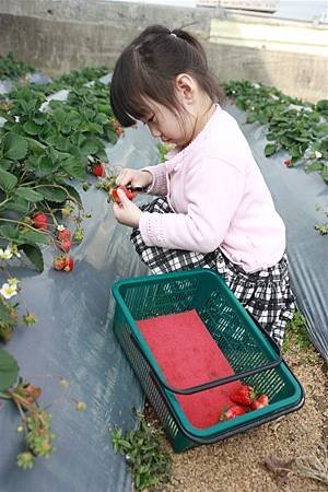 IMG_8229.JPG