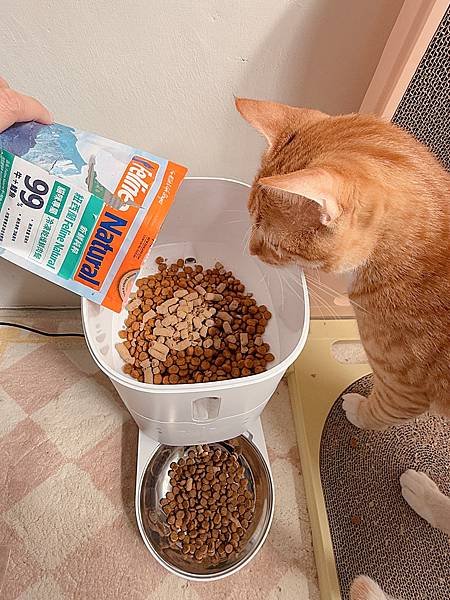 ｜貓｜Feline Natural評價｜我的貓咪愛上這款紐西