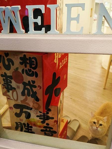 愛美 | 桃園美容 Weien微恩美學空間 美容SPA耳燭 