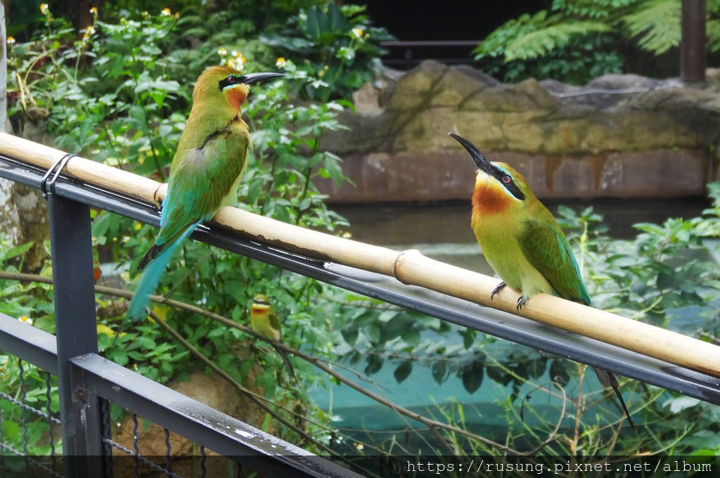 台北市立木柵動物園.jpg