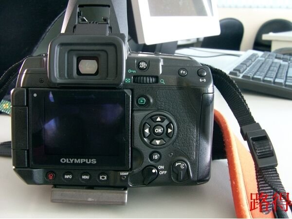 FILE0050(001).JPG