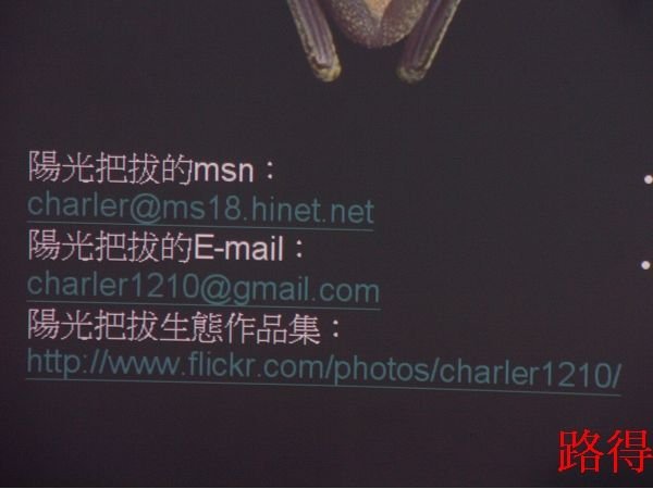 FILE0083(001).JPG